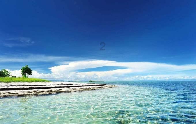 火狐浏览器124版本分支中获得正式修复